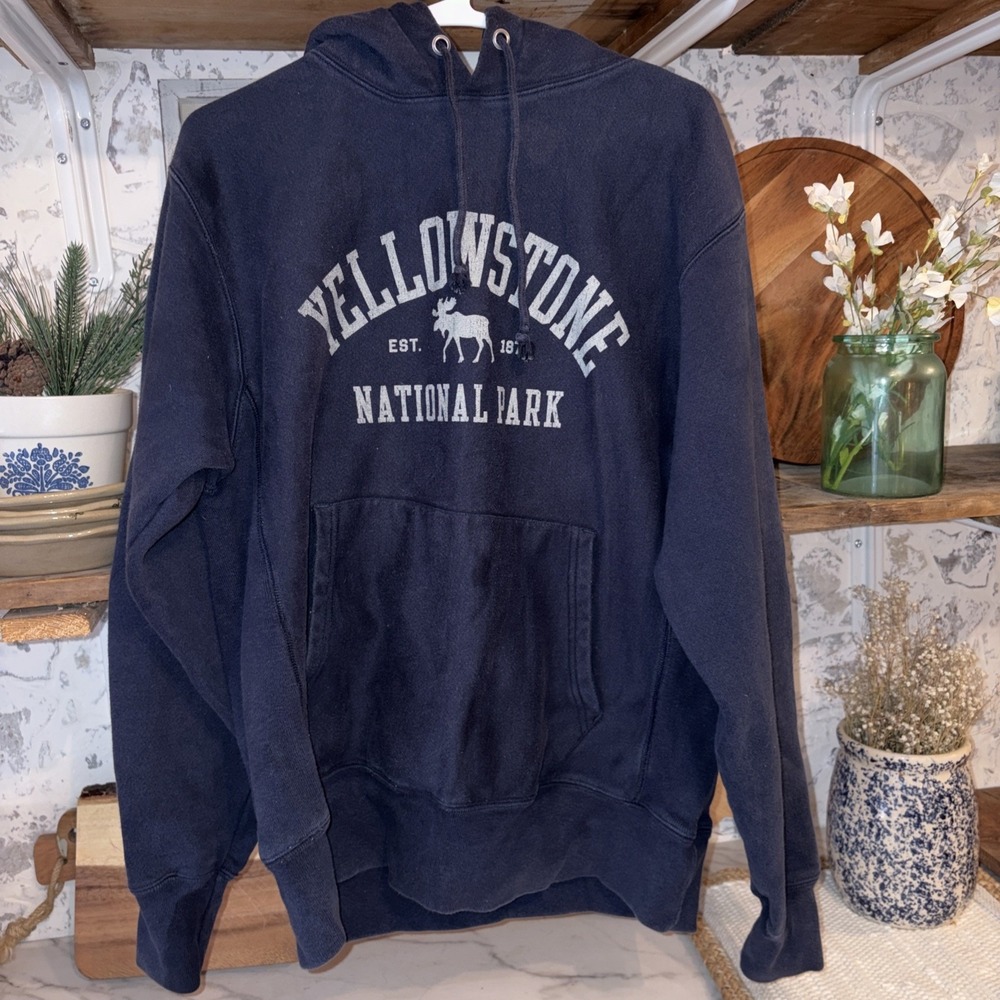Champion Reverse Weave Size M Yellowstone National Park Hoodie Hooded Sweatshirt
